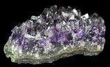 Purple Amethyst Cluster - Uruguay #66766-2